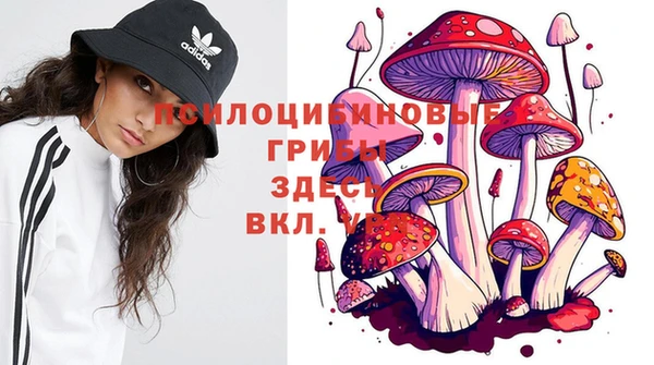 прущие крисы Балахна