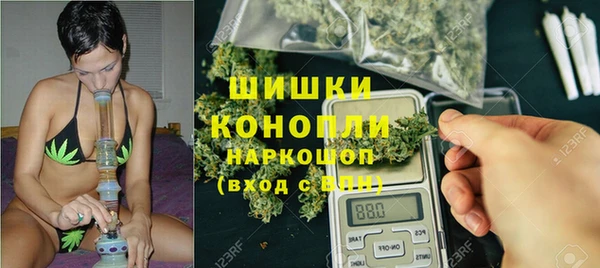 прущие крисы Балахна